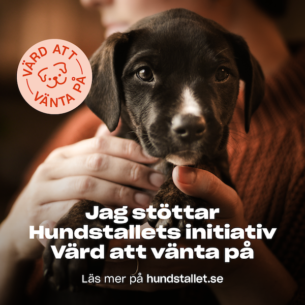 Värd att vänta på